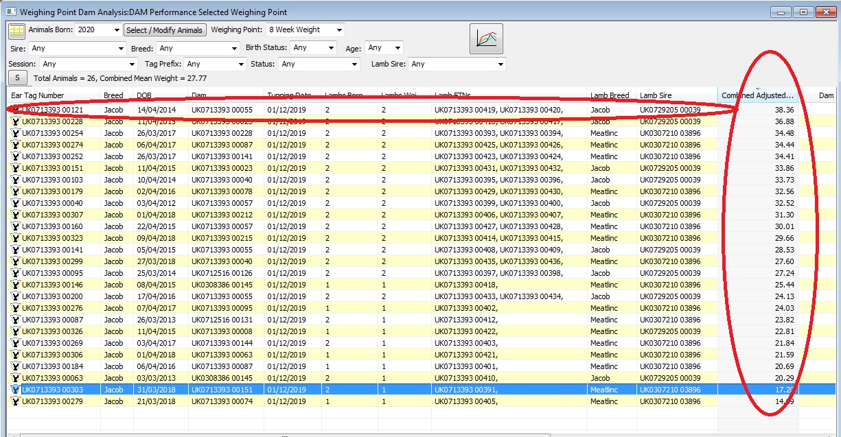 Weighing Point Analysis Ewe Performance alysis Ewe Performance