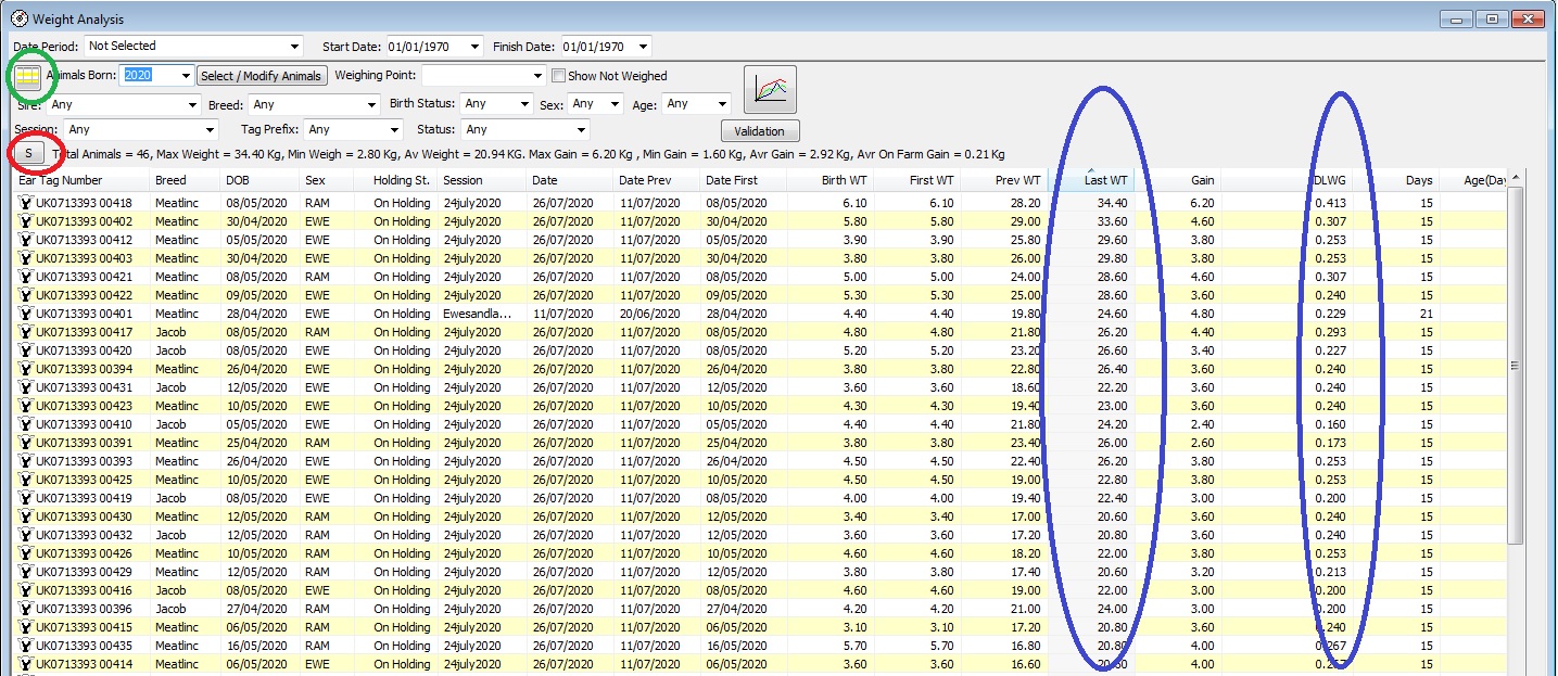 Weight Analysis