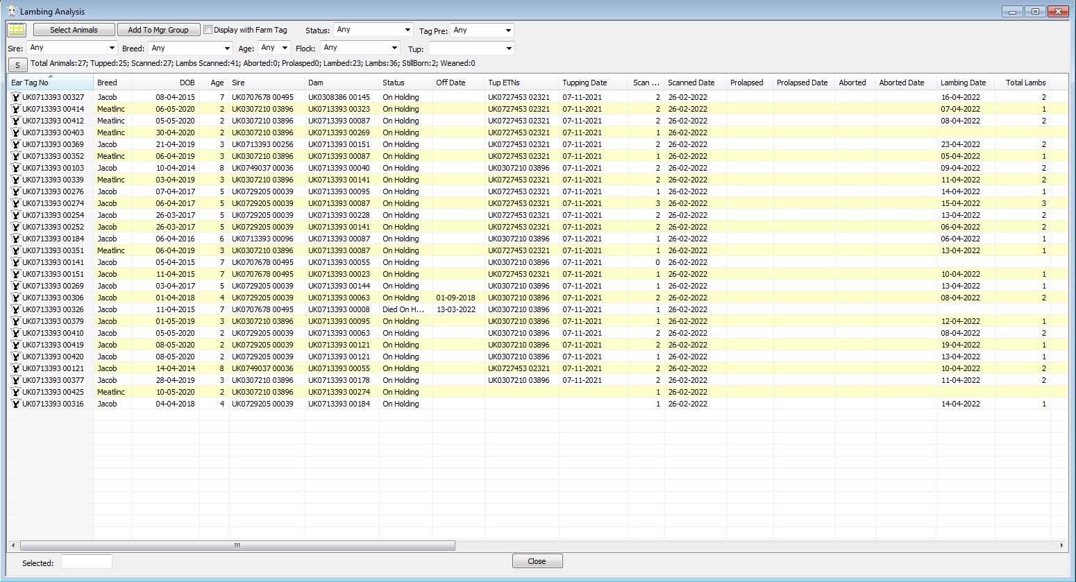 Lambing Analysis